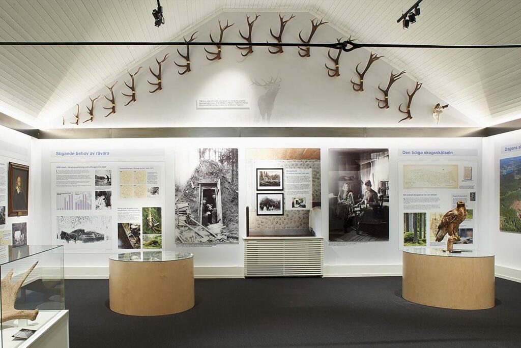 Utställningsrum på Holmens med hornbåge, informationstavlor om skogshistoria och belysta podier.